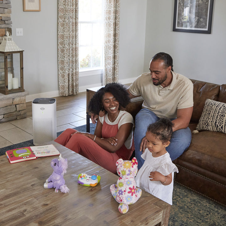 Clorox™ 320 Large Room Air Purifier