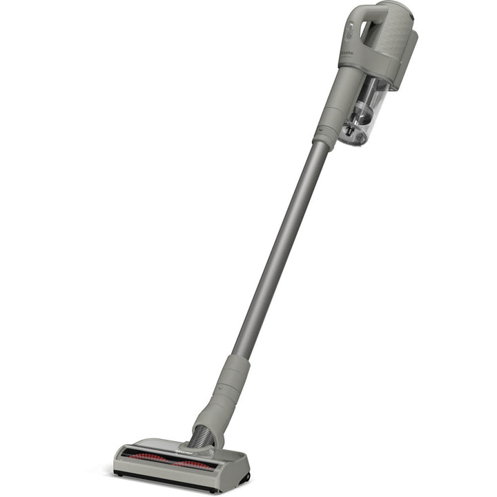 Entretien d’auto Duoflex HX1 de Miele - Casa Grery et gris sidéral