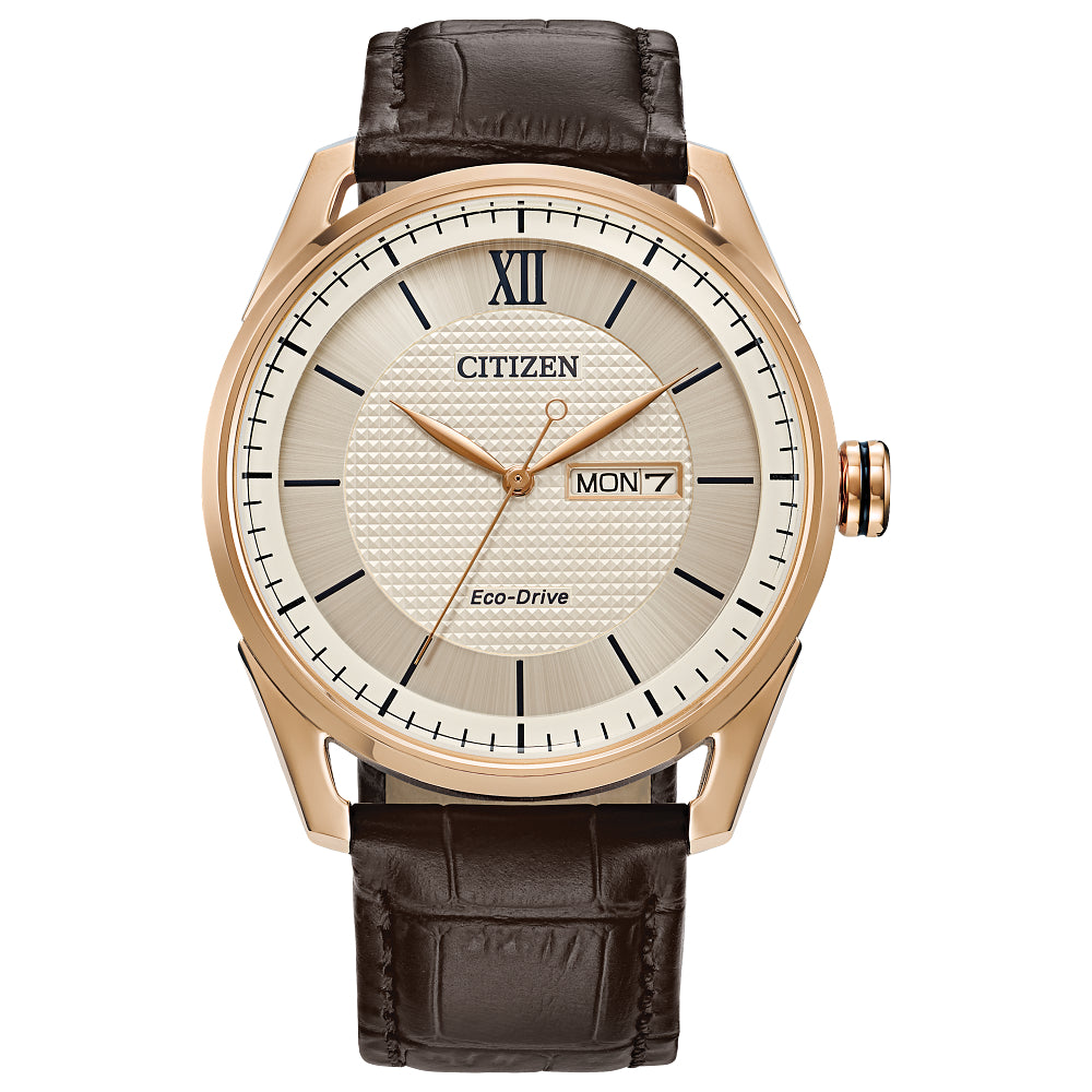 Citizen Classic Brown