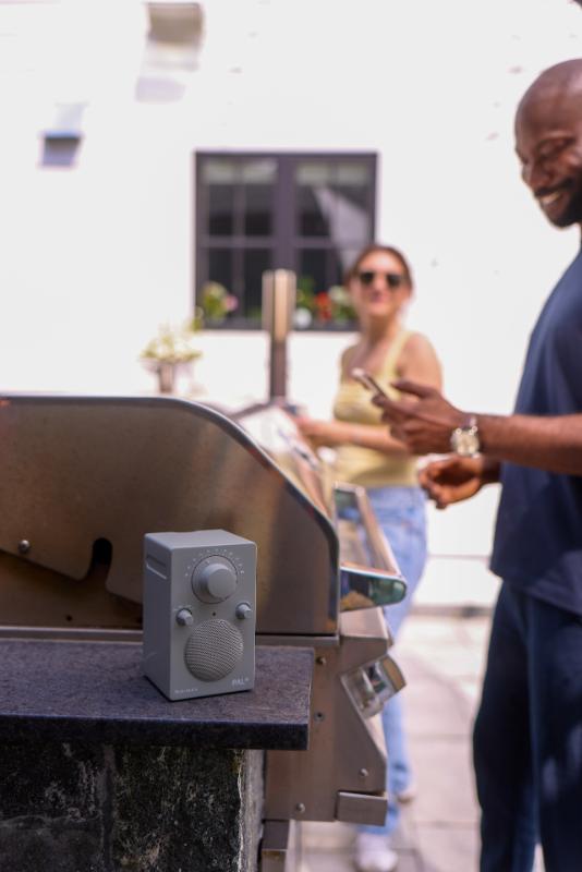 Tivoli Audio PAL Bluetooth - Gray